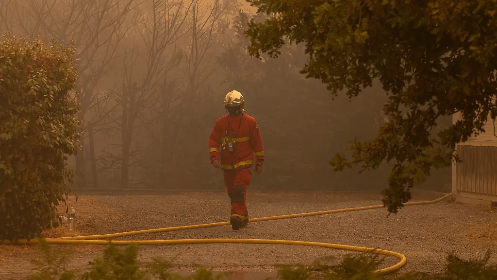 Waldbrände in Südeuropa: Forderungen nach Klimaschutz