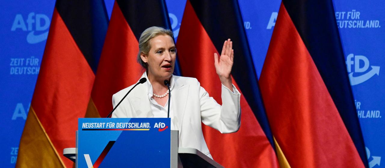 Analyse des AfD-Bundesparteitags: Weidel und Höcke erweitern ihre Macht