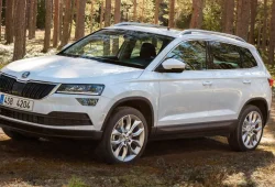 Gebrauchtwagencheck Skoda Karoq – ein praktischer Begleiter mit positiver Tüv-Bilanz
