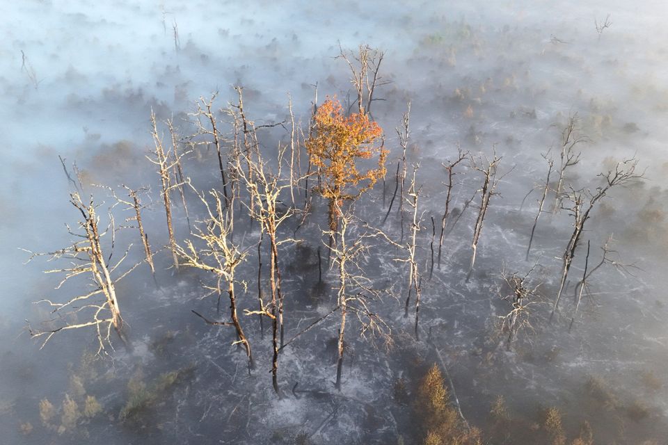 Gesundheitsgefahr durch Waldbrandrauch in Südeuropa