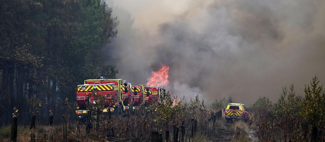 Verheerende Waldbrände in Südwesteuropa: eine Lageanalyse
