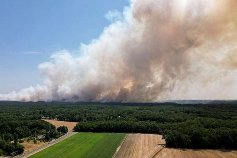 Waldbrand in Fontainebleau: Maßnahmen und Auswirkungen