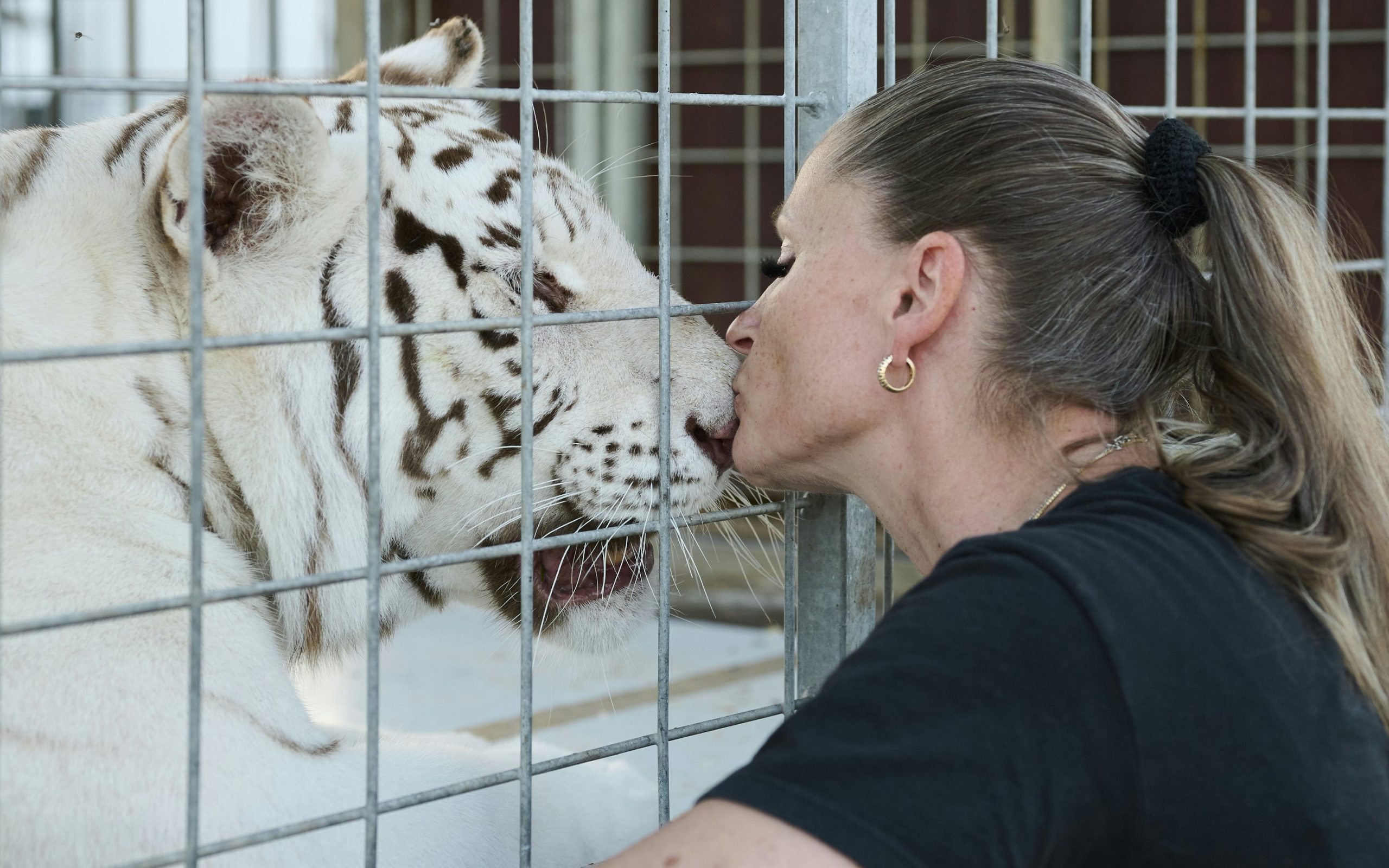 Einblicke in das Leben von Carmen Zander und ihren Tigern