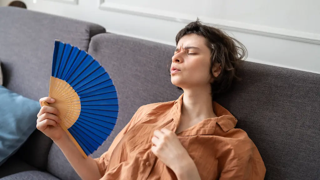 Testsieger-Ventilatoren zur Hitzewelle