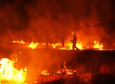 Verheerende Waldbrände in Spanien und Frankreich: Früher, Größer, Stärker