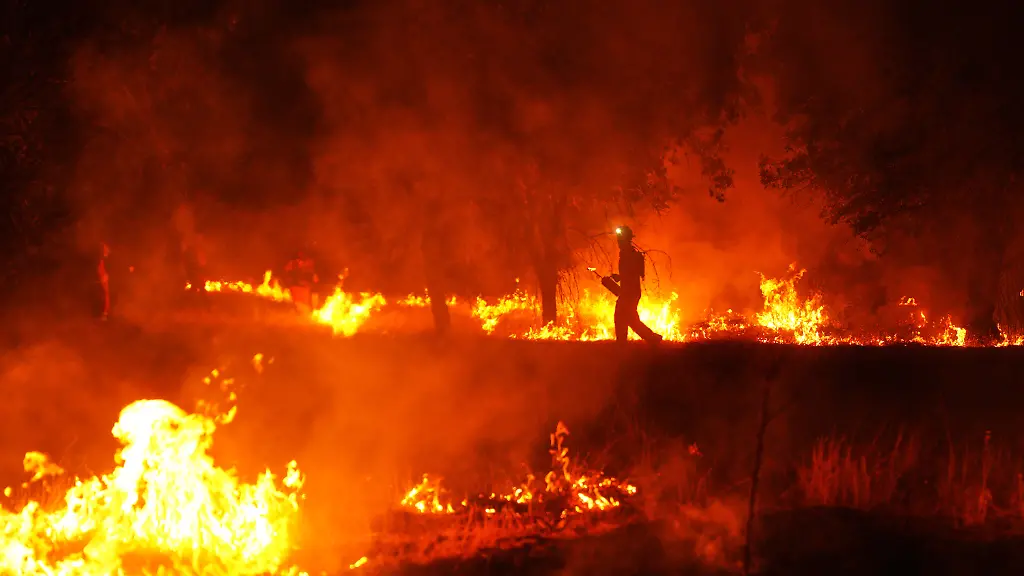 Verheerende Waldbrände in Spanien und Frankreich: Früher, Größer, Stärker