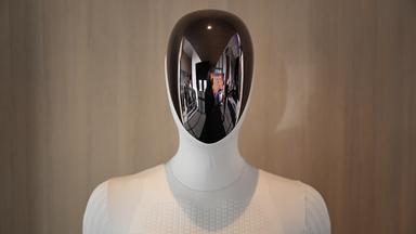 Humanoide Roboter und Wechselrichter: US-Einfuhrverbot