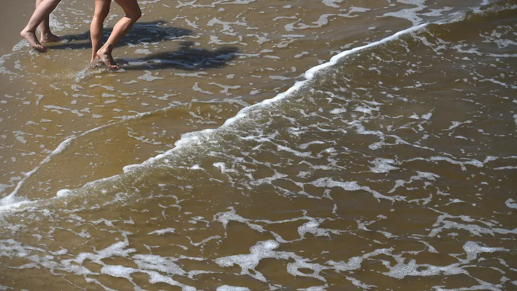 Gefährliche Bakterien in der Ostsee: Vibrionen-Infektionen