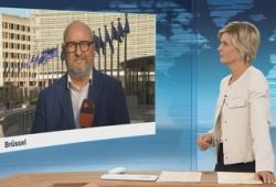 Die Entwicklung und Struktur von Google