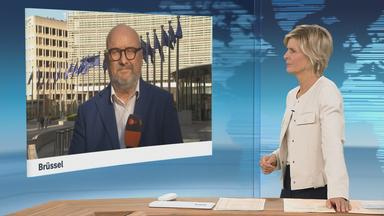 Die Entwicklung und Struktur von Google