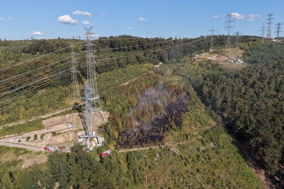Sicherheitsmaßnahmen und Herausforderungen bei Waldbränden in Iserlohn und Müritz-Nationalpark