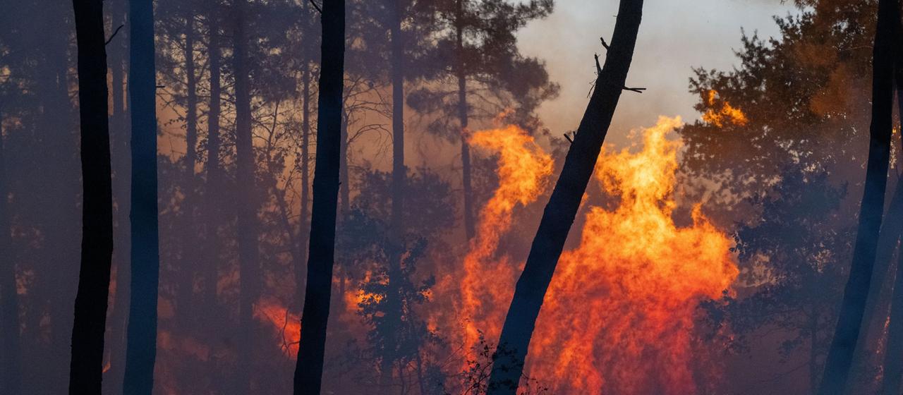 Waldbrände in Südeuropa: Spanien und Frankreich im Kampf gegen die Flammen