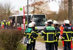 Busfahrer nach tödlichem Unfall freigesprochen