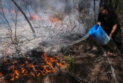 Waldbrände in Südwesteuropa: Konflikt gegen das Feuer