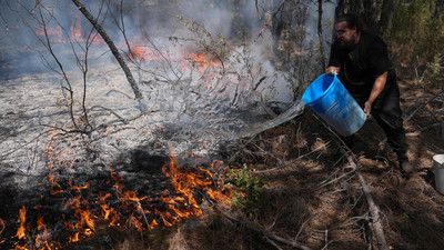 Waldbrände in Südwesteuropa: Konflikt gegen das Feuer