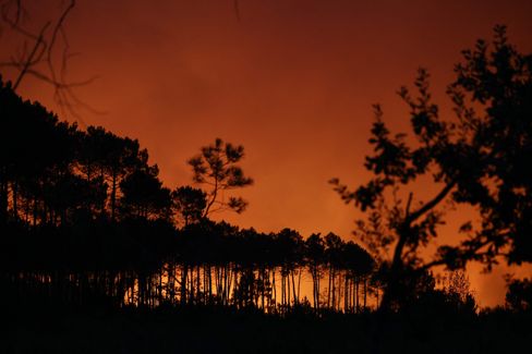 Evakuierungen wegen Waldbrand in Südfrankreich