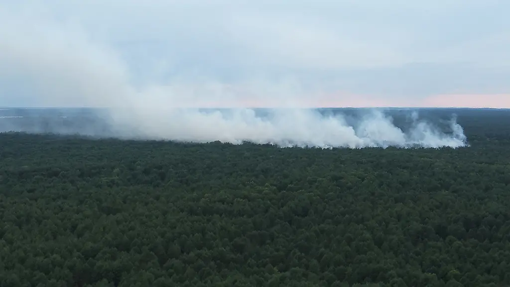 Waldbrand im Müritz-Nationalpark: Einsatz und Herausforderungen