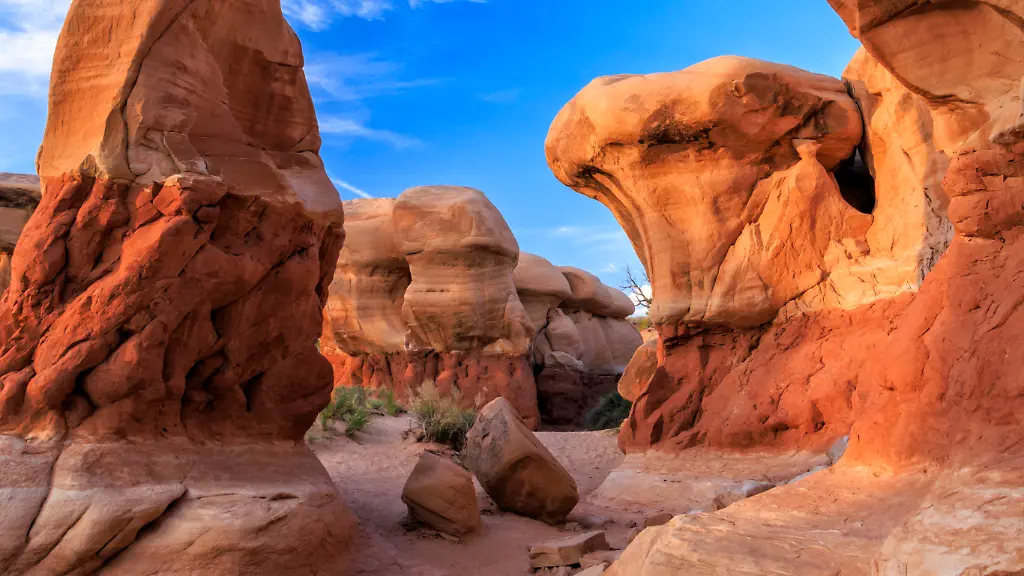 Trump reduziert drastisch Naturschutzgebiete in Utah