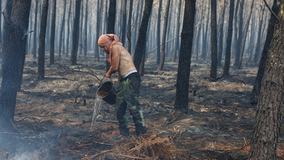 Waldbrände in Süd- und Südeuropa: Die aktuelle Lage im Juli 2026