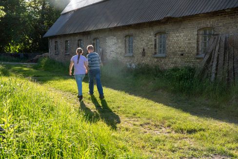 Die Erlebnisse auf dem Bauernhof: Hühnerzucht in Schleswig-Holstein