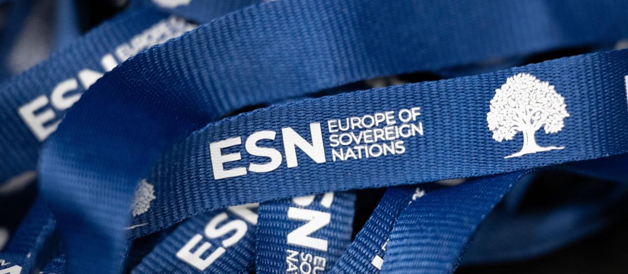 Entscheidung über Prüfung der ESN-Parteienfamilie der AfD
