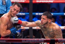 Neue Box-Serie: Spitzenevent aus New York erleben