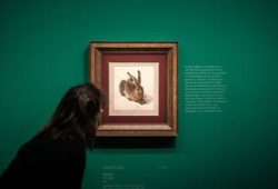 MuseumsQuartier Wien: Ein Ort der Kunst und Kultur