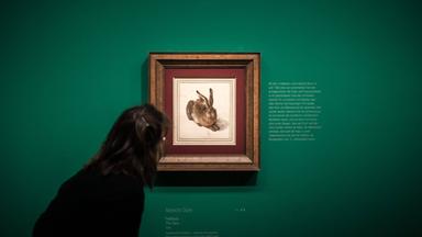 MuseumsQuartier Wien: Ein Ort der Kunst und Kultur