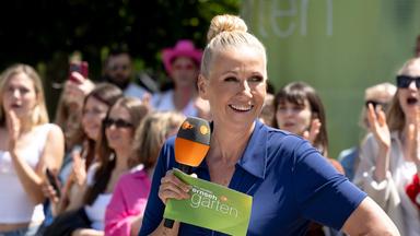 ZDF-Fernsehgarten feiert 40 Jahre