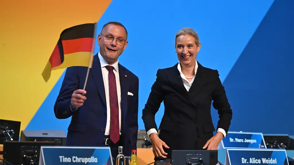 AfD Parteitag: Führungsspitze bestätigt