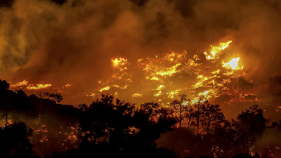 Waldbrände in Europa: Der Kampf gegen die Flammen