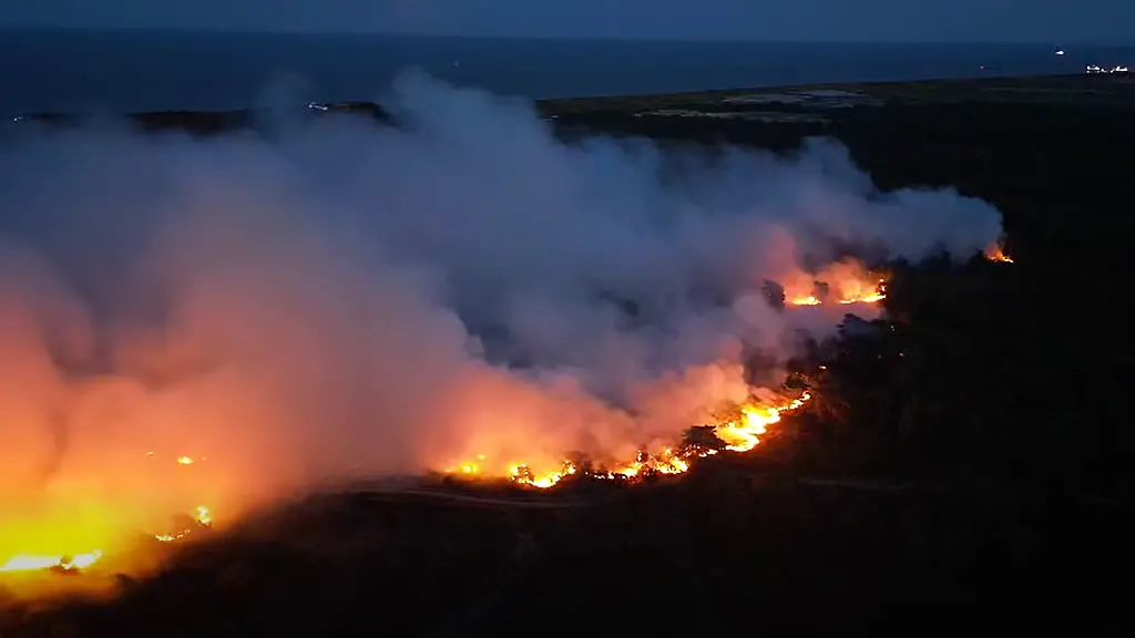 Feuerwehr kämpft gegen Waldbrand in England nahe Kernkraftwerk