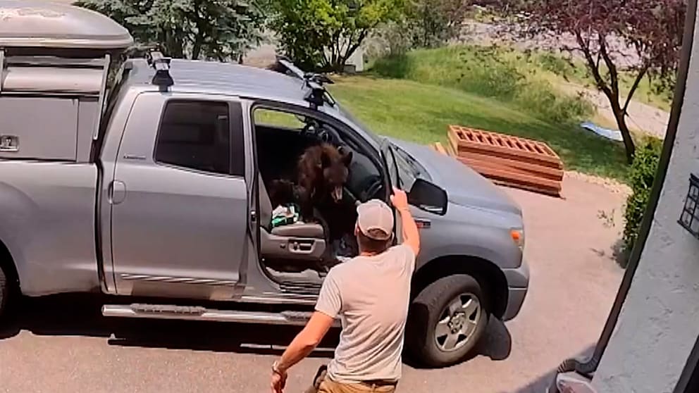 Ungewöhnlicher Besucher im Auto eines Handwerkers in Colorado