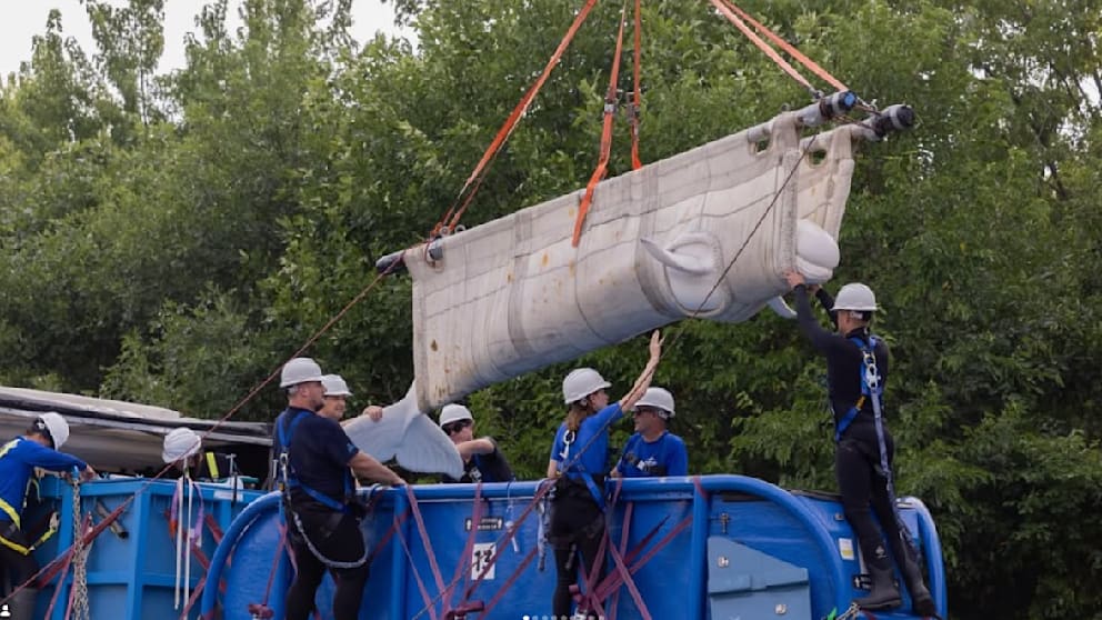 Beluga-Wale verlassen kanadischen Freizeitpark
