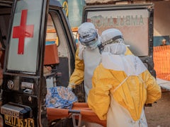Ebola-Ausbruch in Zentralafrika: Eskalation der Krise im Kongo