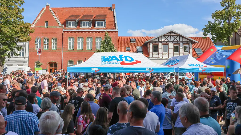 Einfluss der AfD auf die deutsche Politiklandschaft