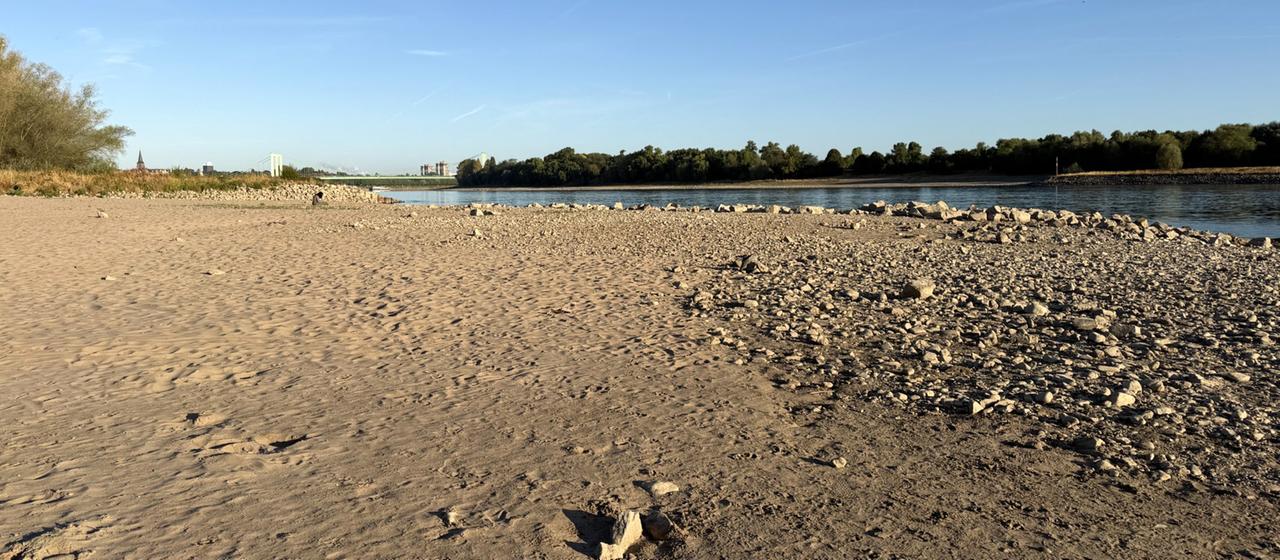 Niedriger Rhein-Pegel und Dürre: Auswirkungen auf Wirtschaft und Alltag