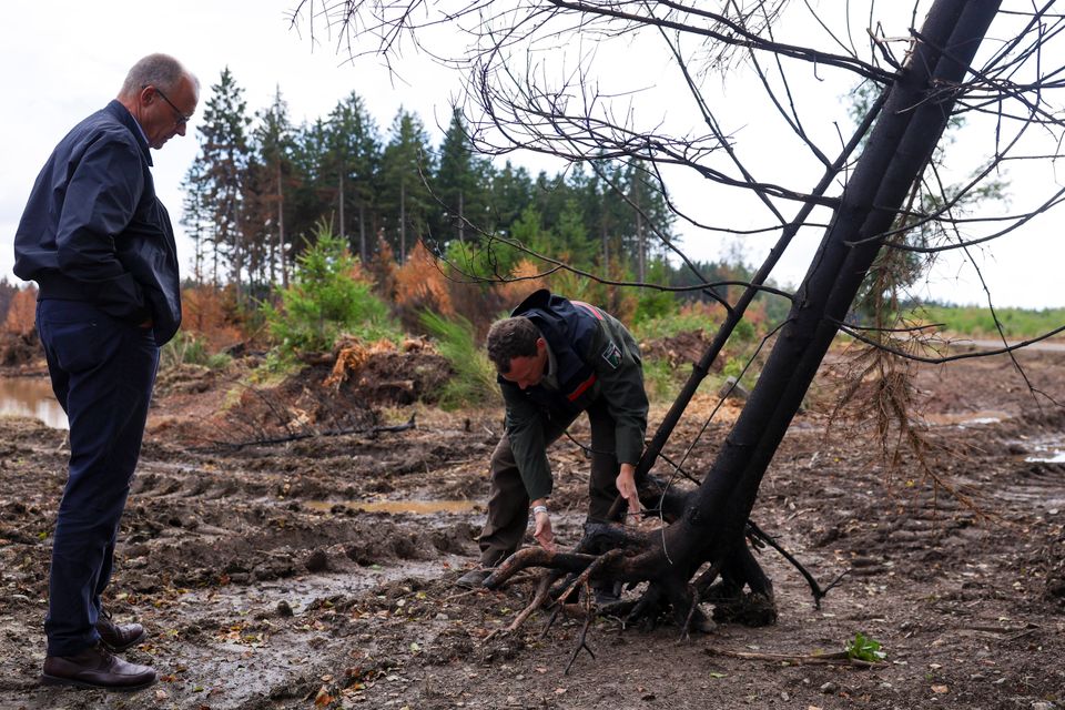 Friedrich Merz reagiert auf Waldbrände und Klimawandel