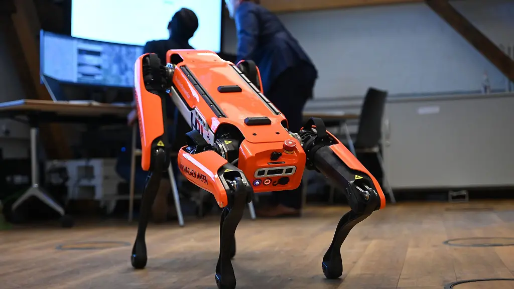 ICE plant Einsatz von Roboter-Hunden und Elektroschock-Handschuhen