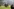 Gewalt bei Derby Mannheim gegen Kaiserslautern eskaliert
