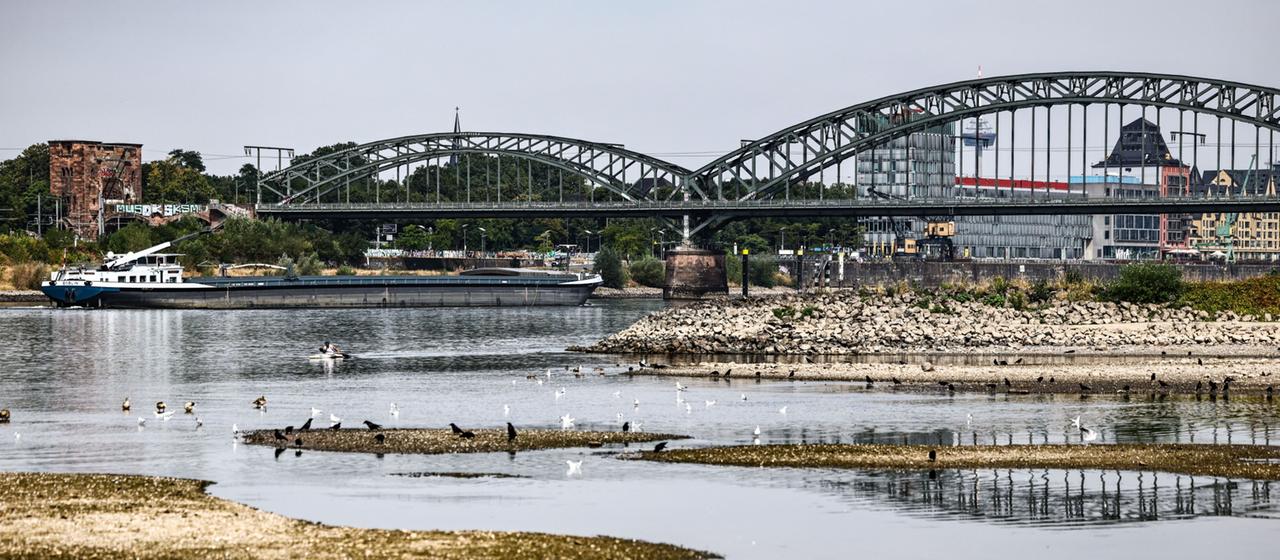 Historischer Tiefstand am Rhein: Niedrigwasser-Krisentreffen geplant