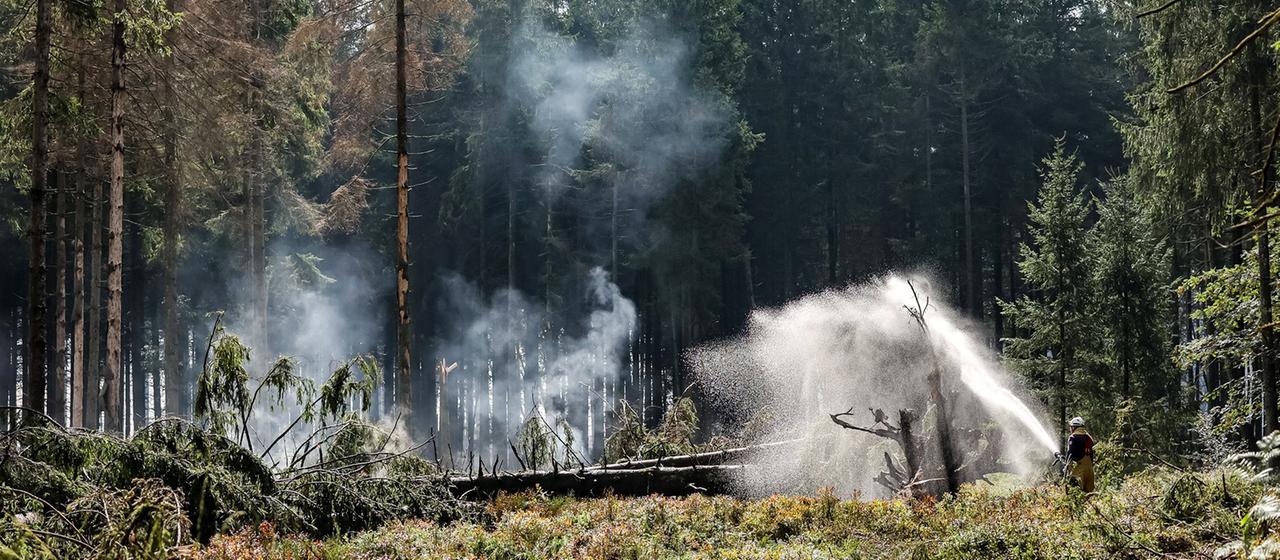 Großer Waldbrand in Belgien weitgehend unter Kontrolle
