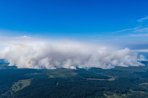 Waldbrände begleiten Streit über Klima-Aktionsplan der SPD