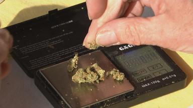 Das GKV-Sparpaket und die Auswirkungen auf die Cannabis-Therapie