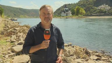 Aktuelle Geschehnisse in Deutschland am 10. August 2026