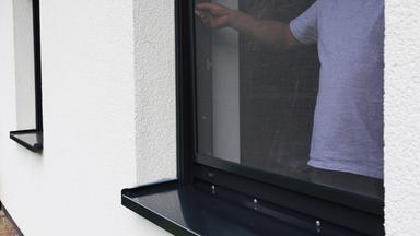 Sommer, Sonne, Wespen: Tipps zur Abwehr