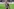Jackson Irvine verlässt FC St. Pauli nach Kontroverse