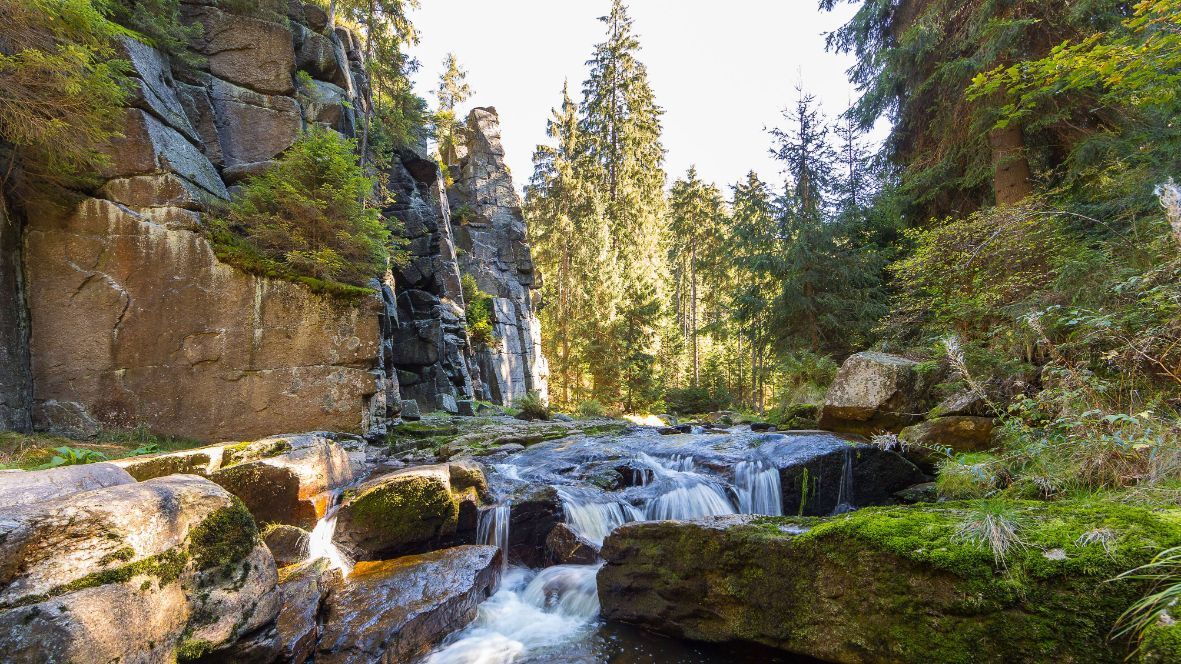 Urlaubstipps: Erzgebirge und Harz entdecken