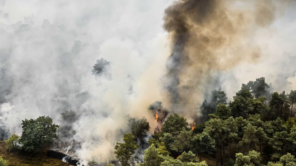 Großbrand nahe der deutsch-niederländischen Grenze