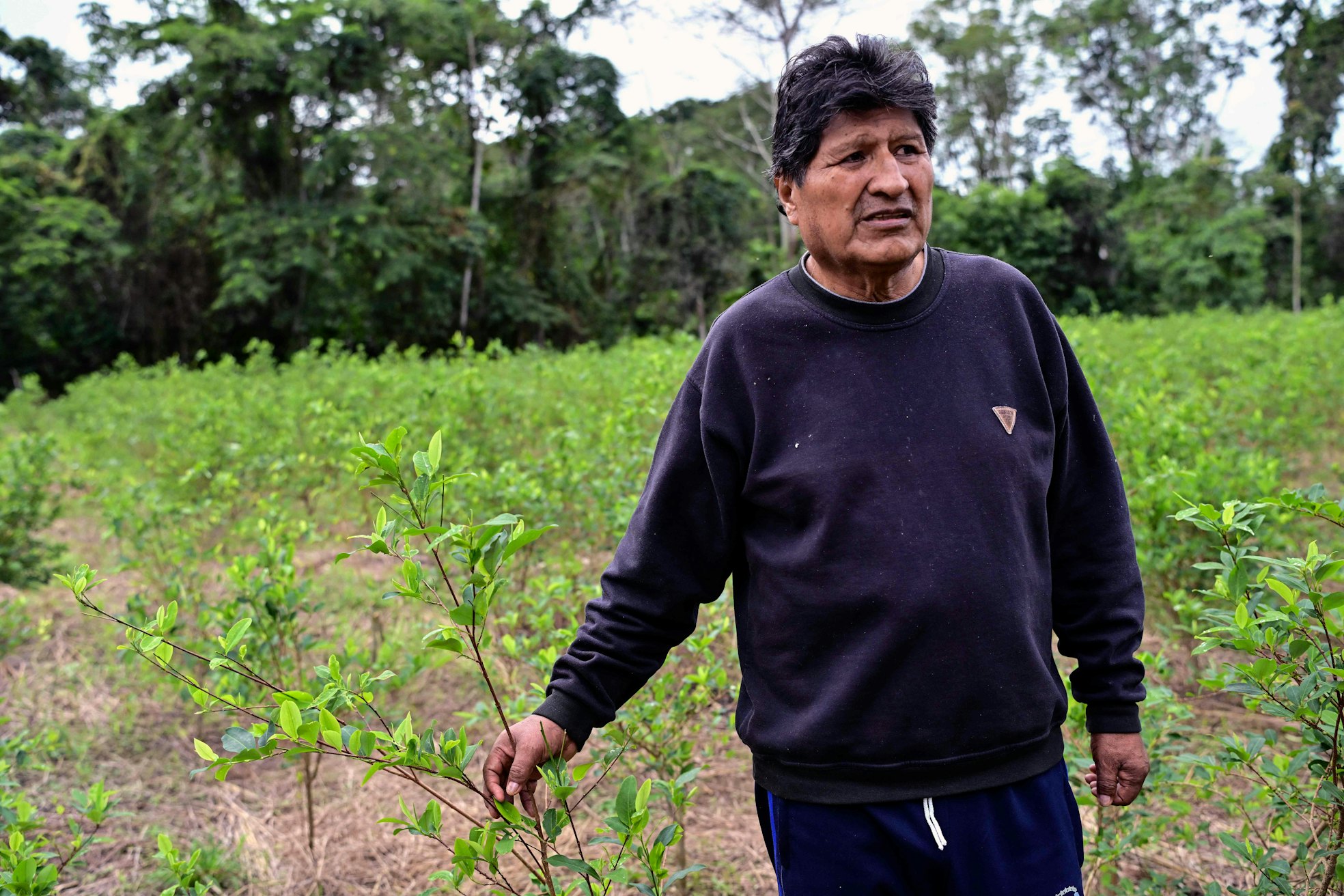 Evo Morales und seine Einflussnahme aus dem Exil